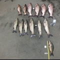 4 bottal szaggatták a halakat az orvhorgászok
