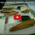 Miért tilos a Balatonon balatoni halat árulni?